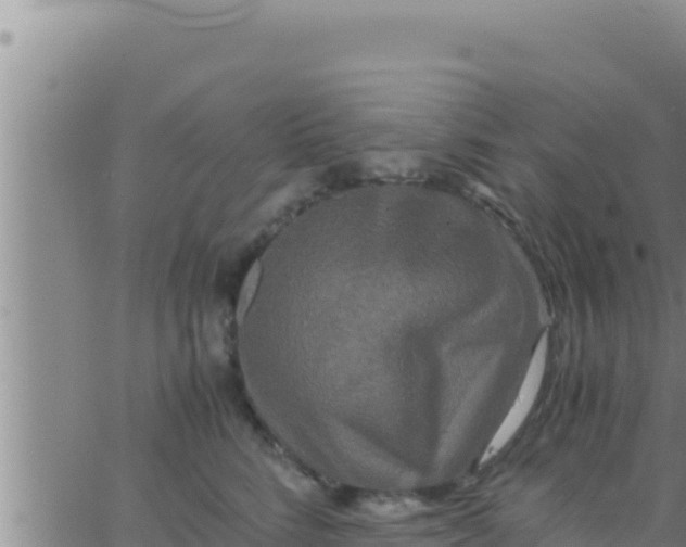 X0000062830712200601271951