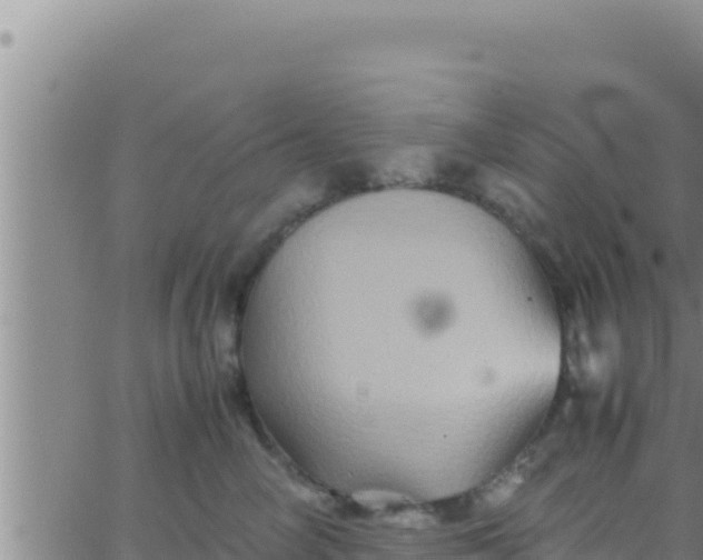 X0000062830714200601271951