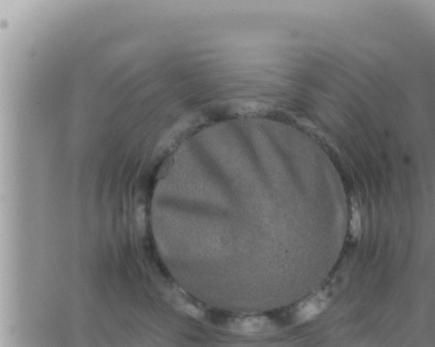 X0000062830716200601271951