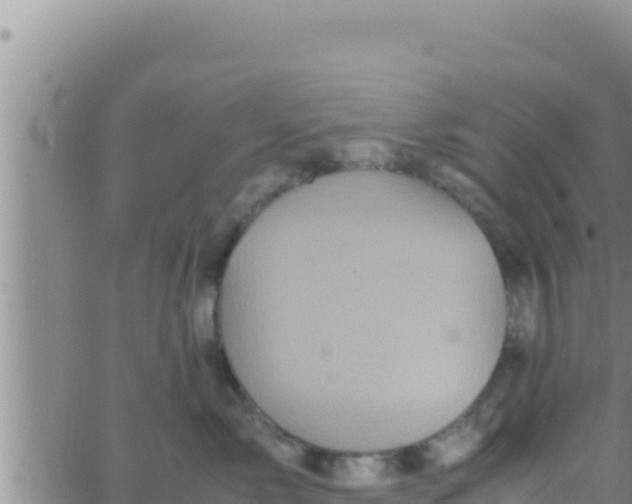 X0000062830717200601271951