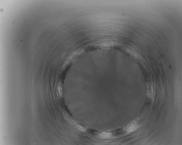 X0000062830718200601271951