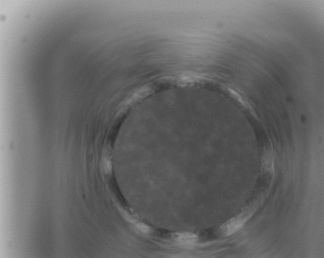 X0000062830719200601271951