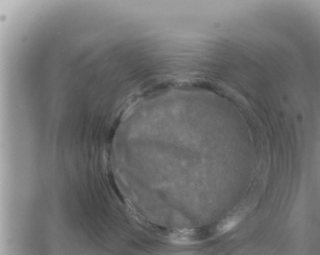 X0000062830720200601271951