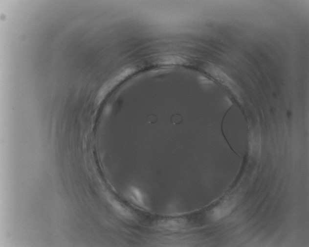 X0000062830721200601271950