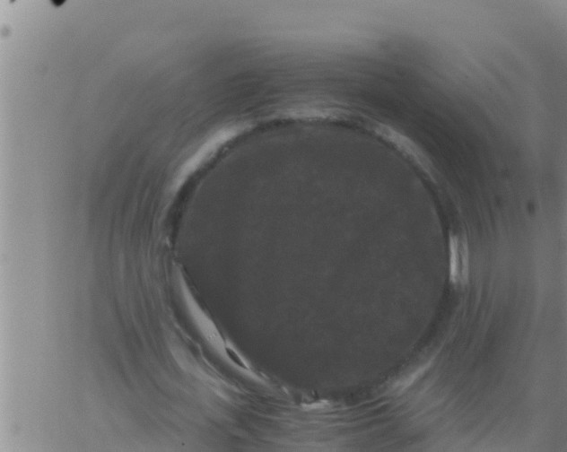 X0000062830723200601271950