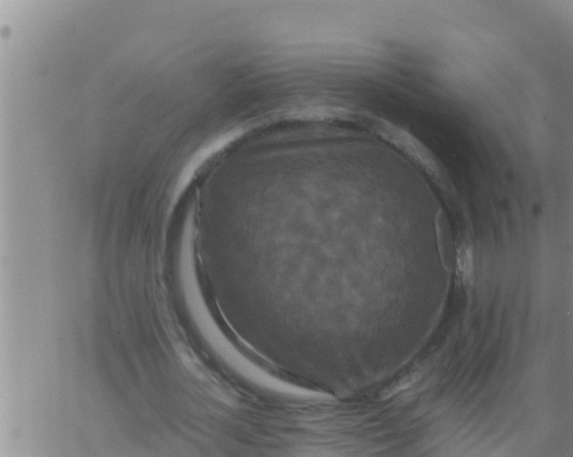 X0000062830724200601271950