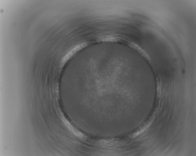 X0000062830725200601271950