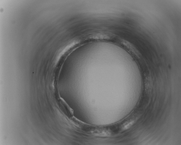 X0000062830727200601271950