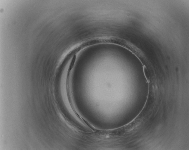 X0000062830728200601271950