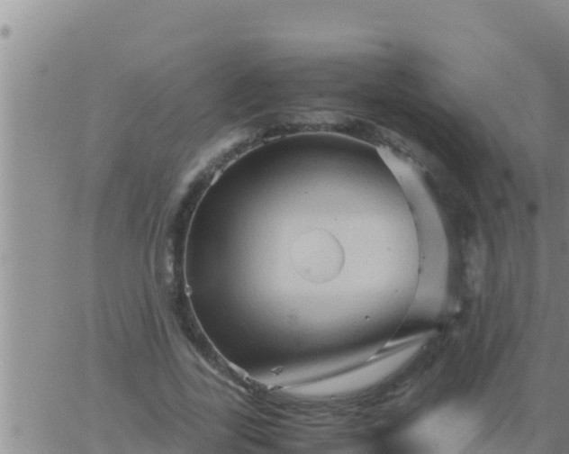 X0000062830731200601271950