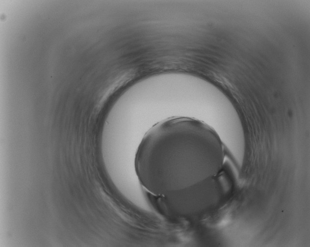 X0000062830735200601271950