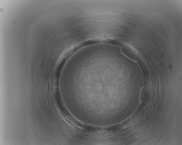 X0000062830736200601271950