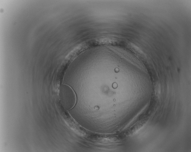 X0000062830737200601271950