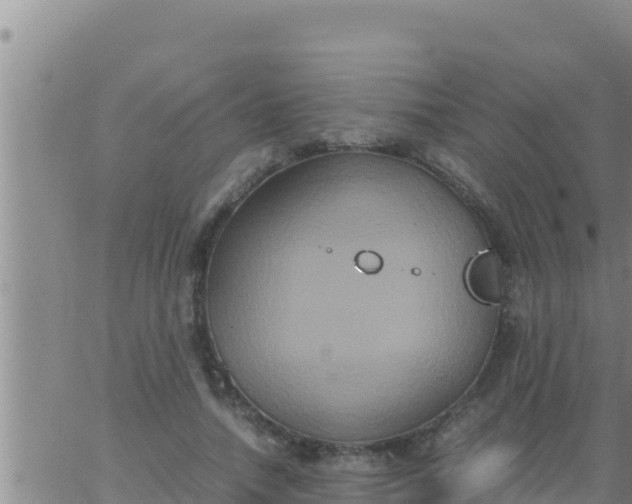 X0000062830738200601271950