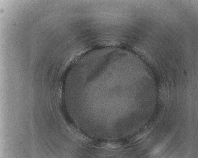 X0000062830739200601271950