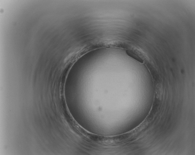 X0000062830740200601271950