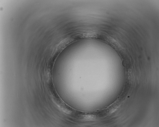 X0000062830741200601271950