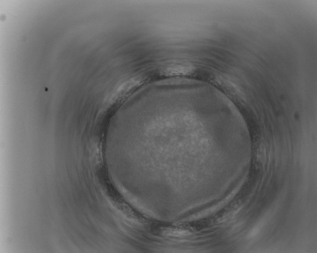 X0000062830743200601271950