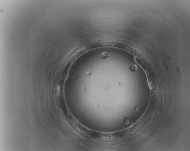 X0000062830744200601271950