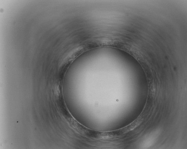 X0000062830746200601271951