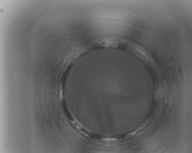 X0000062830748200601271951