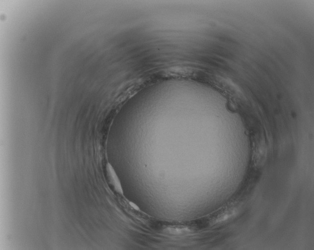 X0000062830749200601271951