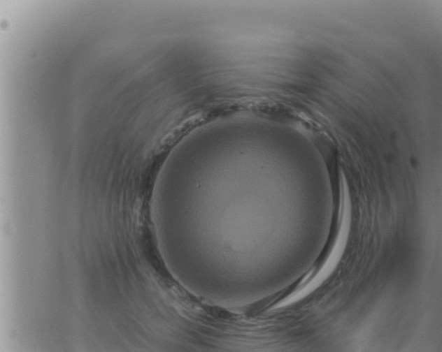 X0000062830750200601271951