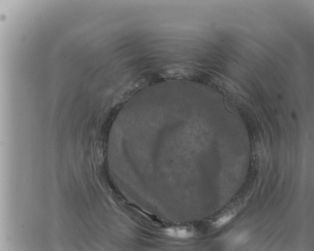 X0000062830751200601271951