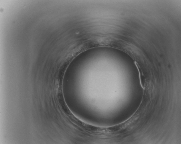 X0000062830752200601271951