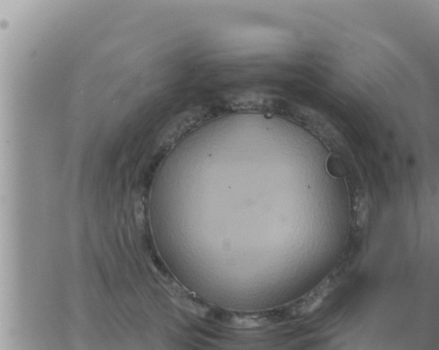 X0000062830753200601271951