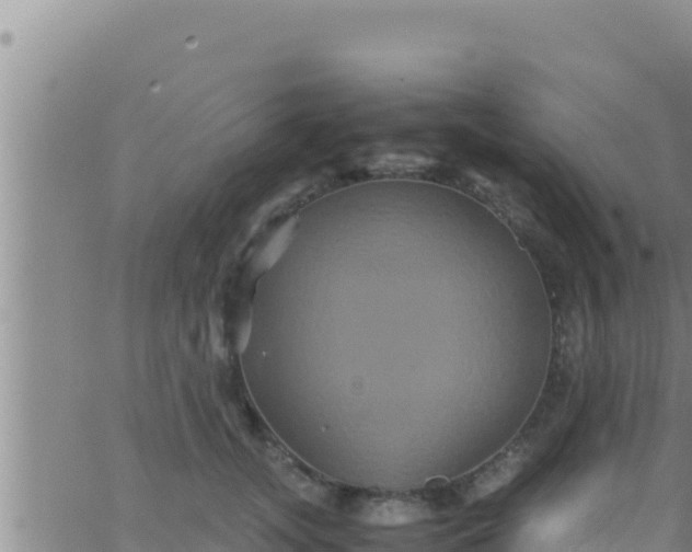 X0000062830755200601271951