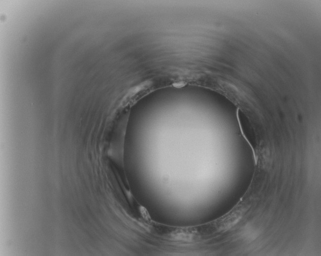 X0000062830756200601271951