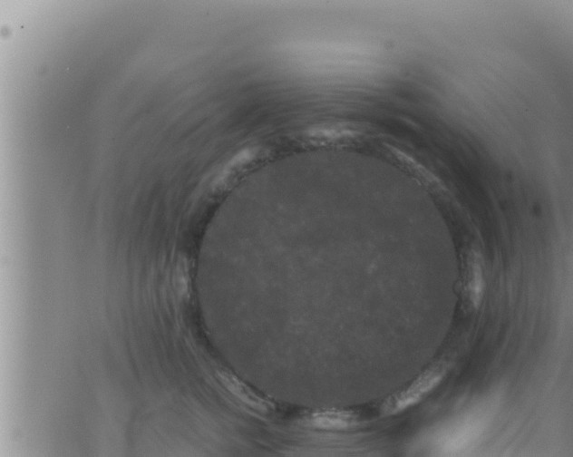 X0000062830758200601271951