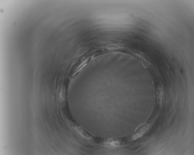 X0000062830760200601271951