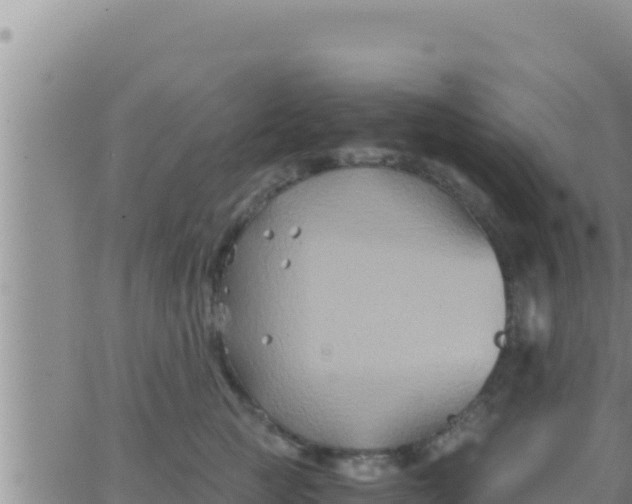 X0000062830761200601271951