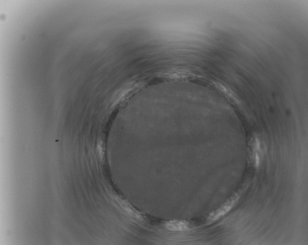 X0000062830762200601271951