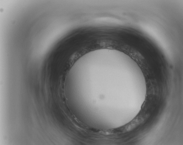 X0000062830764200601271951