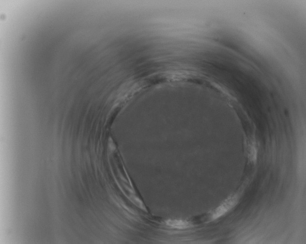 X0000062830766200601271951