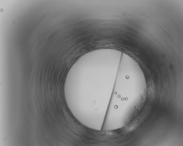 X0000062830767200601271951