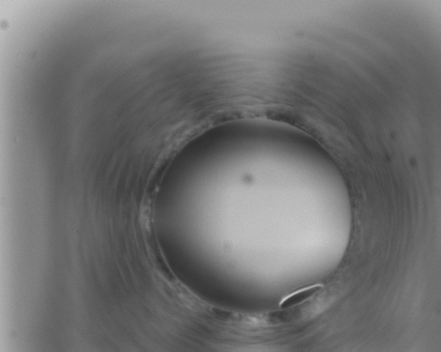 X0000062830768200601271951