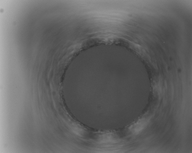 X0000062830769200601271950