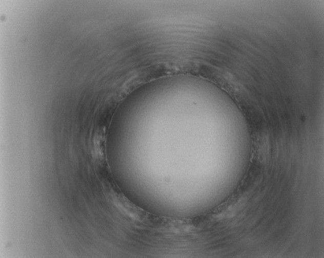 X0000062830770200601271950