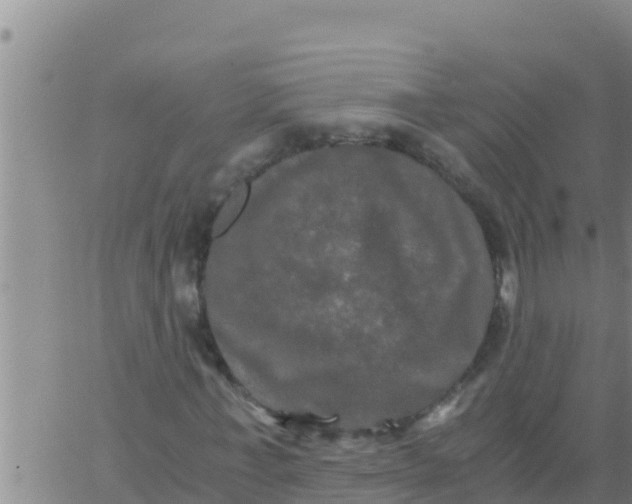 X0000062830771200601271950