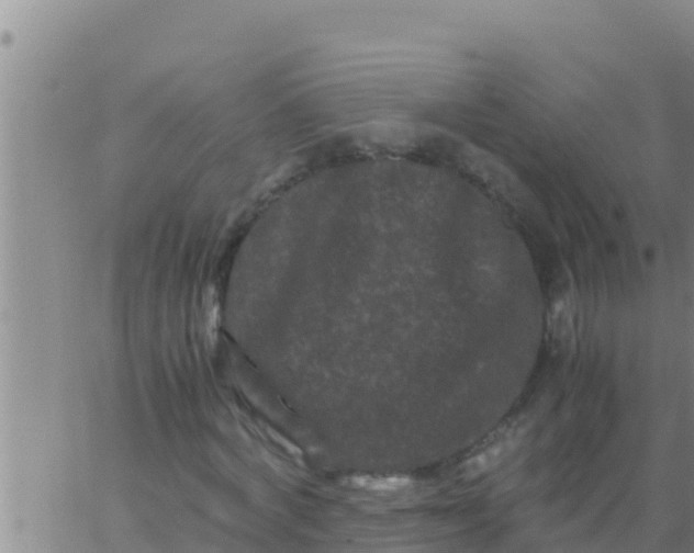 X0000062830772200601271950