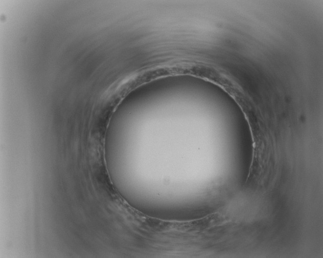 X0000062830773200601271950