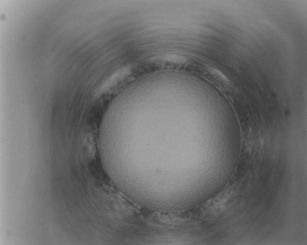 X0000062830774200601271950