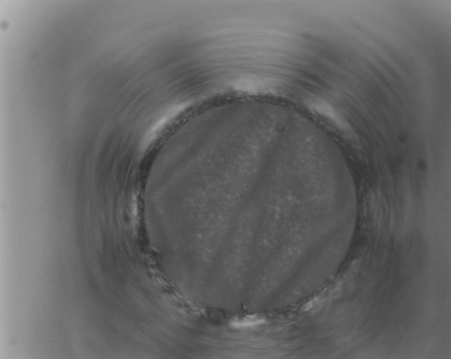 X0000062830776200601271950