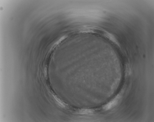 X0000062830777200601271950