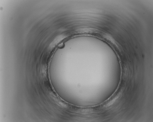 X0000062830778200601271950