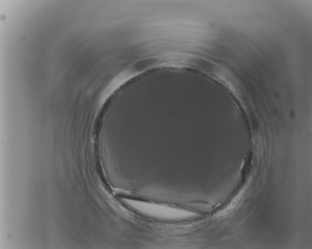 X0000062830779200601271950